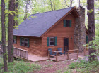 Cabin Dogwood